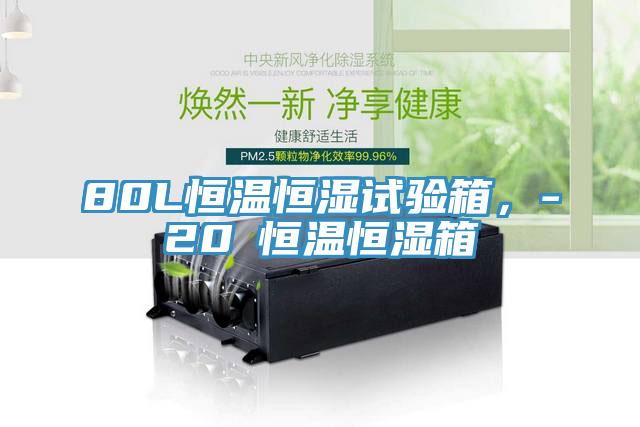 80L恒温恒湿试验箱，-20℃恒温恒湿箱