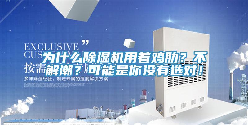 为什么MR.好色破解版用着鸡肋？不解潮？可能是你没有选对！