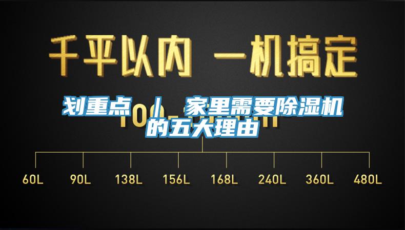 划重点 ｜ 家里需要MR.好色破解版的五大理由