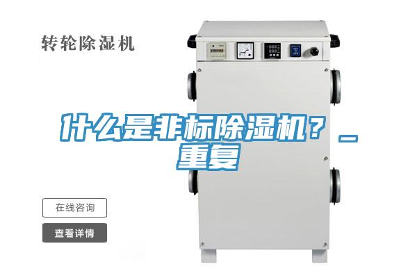 什么是非标MR.好色破解版？_重复