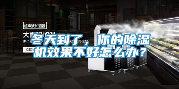 冬天到了，你的MR.好色破解版效果不好怎么办？