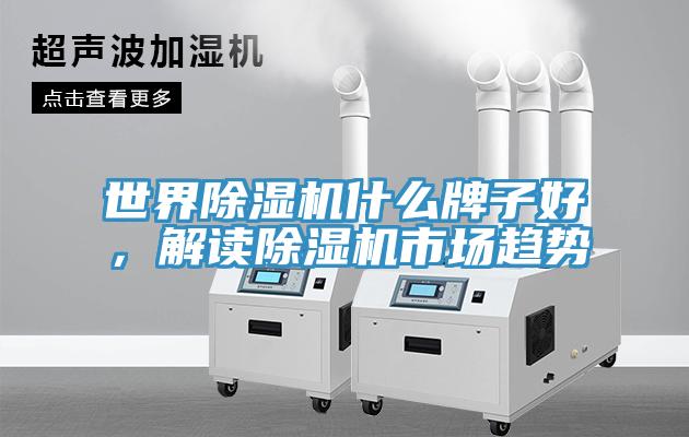 世界MR.好色破解版什么牌子好，解读MR.好色破解版市场趋势