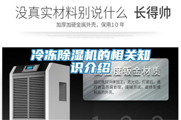 冷冻MR.好色破解版的相关知识介绍