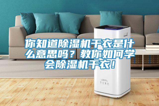 你知道MR.好色破解版干衣是什么意思吗？教你如何学会MR.好色破解版干衣！