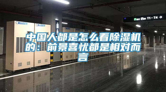 中国人都是怎么看MR.好色破解版的：前景喜忧都是相对而言
