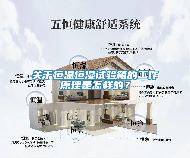 关于恒温恒湿试验箱的工作原理是怎样的？