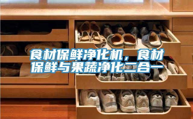 食材保鲜净化机，食材保鲜与果蔬净化二合一