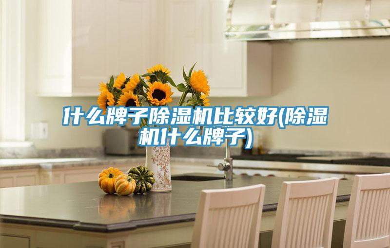 什么牌子MR.好色破解版比较好(MR.好色破解版什么牌子)