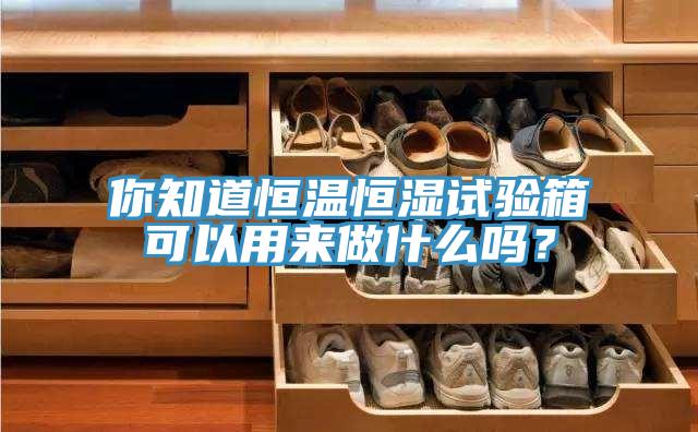 你知道恒温恒湿试验箱可以用来做什么吗？