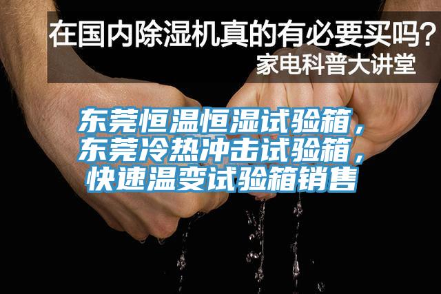 东莞恒温恒湿试验箱，东莞冷热冲击试验箱，快速温变试验箱销售