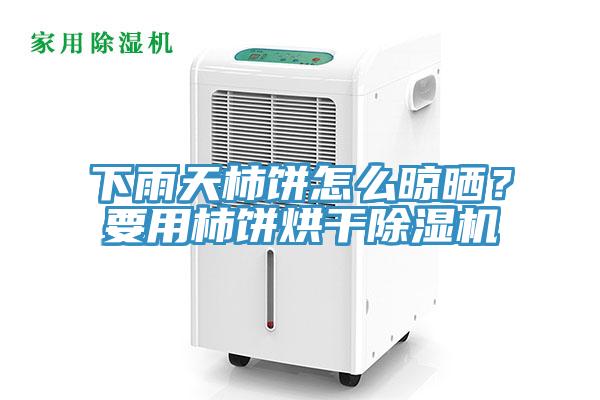 下雨天柿饼怎么晾晒？要用柿饼烘干MR.好色破解版