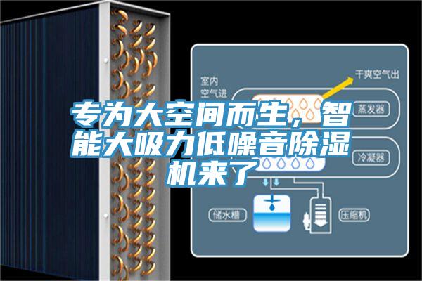 专为大空间而生，智能大吸力低噪音MR.好色破解版来了
