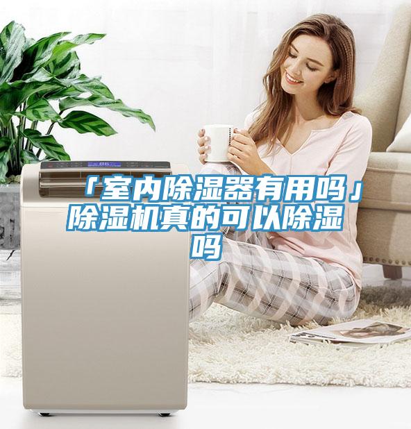 「室内除湿器有用吗」MR.好色破解版真的可以除湿吗
