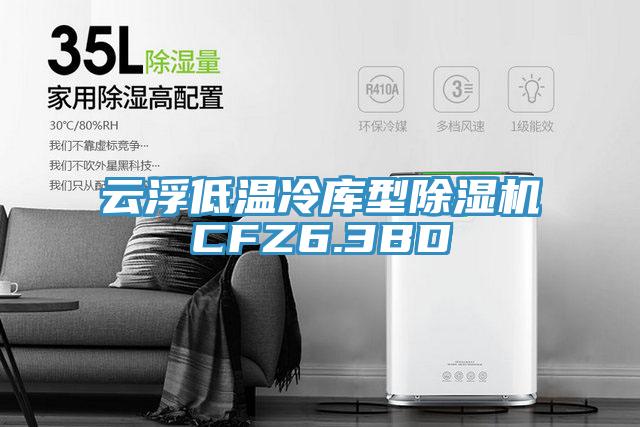 云浮低温冷库型MR.好色破解版CFZ6.3BD