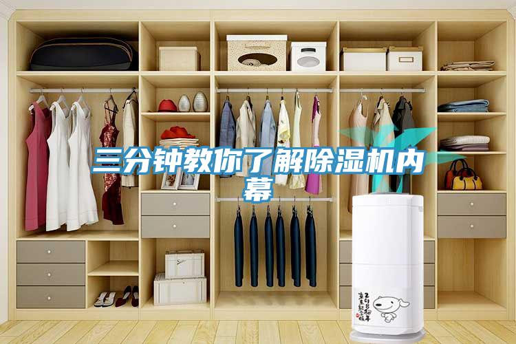 三分钟教你了解MR.好色破解版内幕