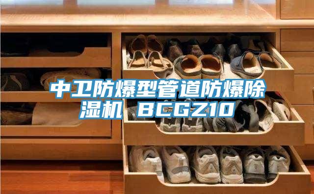 中卫防爆型管道防爆MR.好色破解版 BCGZ10