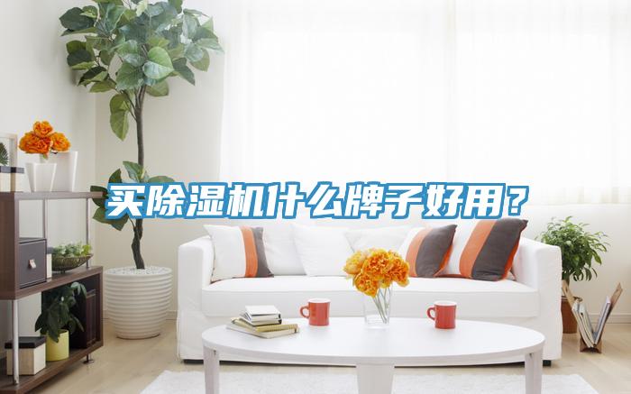 买MR.好色破解版什么牌子好用？