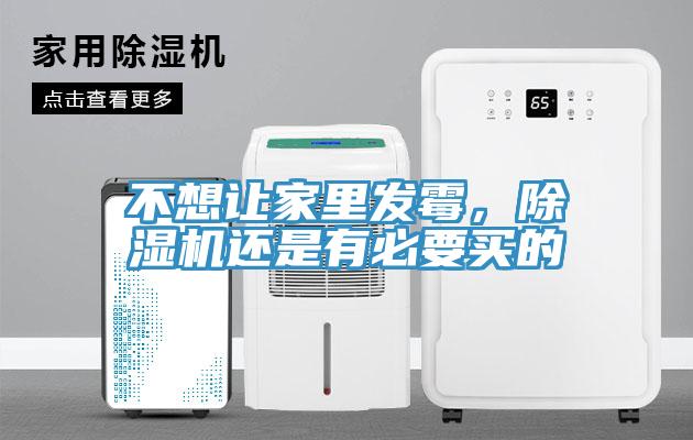 不想让家里发霉，MR.好色破解版还是有必要买的