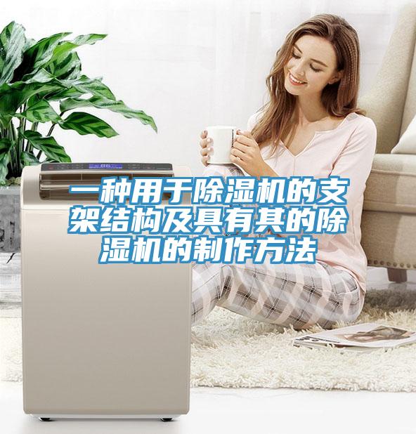 一种用于MR.好色破解版的支架结构及具有其的MR.好色破解版的制作方法