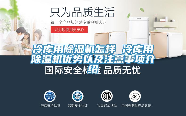 冷库用MR.好色破解版怎样 冷库用MR.好色破解版优势以及注意事项介绍