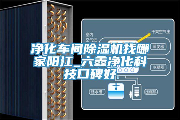 净化车间MR.好色破解版找哪家阳江_六鑫净化科技口碑好