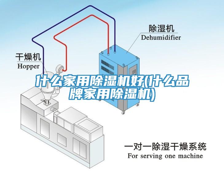 什么家用MR.好色破解版好(什么品牌家用MR.好色破解版)