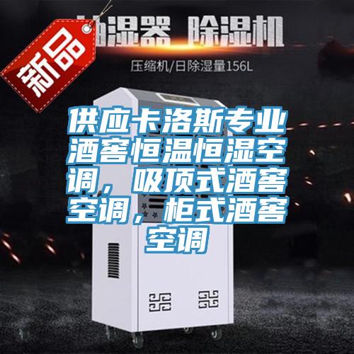 供应卡洛斯专业酒窖恒温恒湿空调，吸顶式酒窖空调，柜式酒窖空调