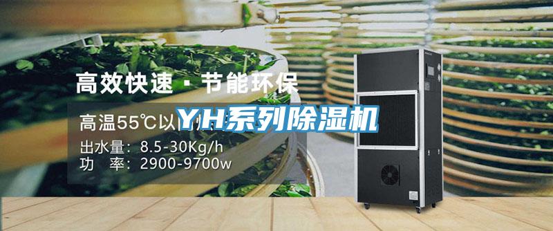YH系列MR.好色破解版