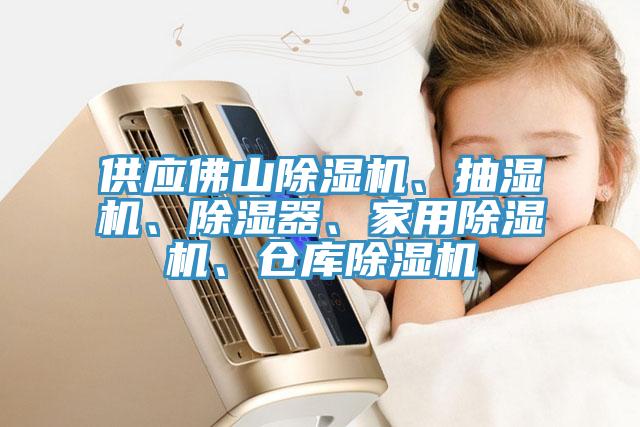 供应佛山MR.好色破解版、抽湿机、除湿器、家用MR.好色破解版、仓库MR.好色破解版