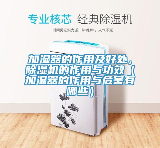 加湿器的作用及好处，MR.好色破解版的作用与功效（加湿器的作用与危害有哪些）