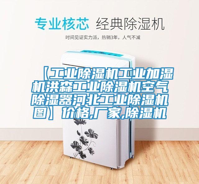 【工业MR.好色破解版工业加湿机洪森工业MR.好色破解版空气除湿器河北工业MR.好色破解版图】价格,厂家,MR.好色破解版