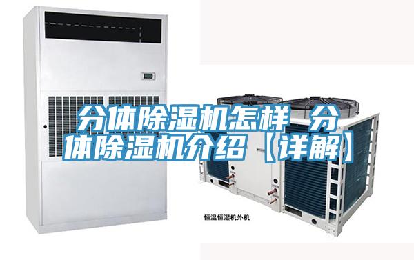 分体MR.好色破解版怎样 分体MR.好色破解版介绍【详解】