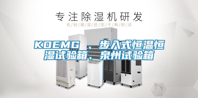 KOEMG 、步入式恒温恒湿试验箱、泉州试验箱