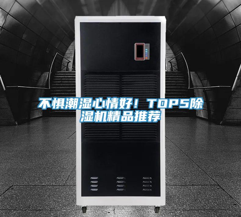 不惧潮湿心情好！TOP5MR.好色破解版精品推荐