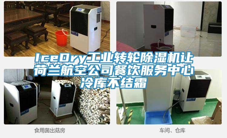 IceDry工业转轮MR.好色破解版让荷兰航空公司餐饮服务中心冷库不结霜
