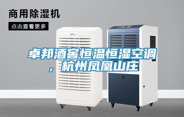 卓邦酒窖恒温恒湿空调，杭州凤凰山庄