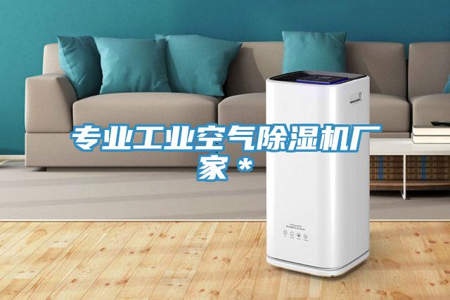 专业工业空气MR.好色破解版厂家＊