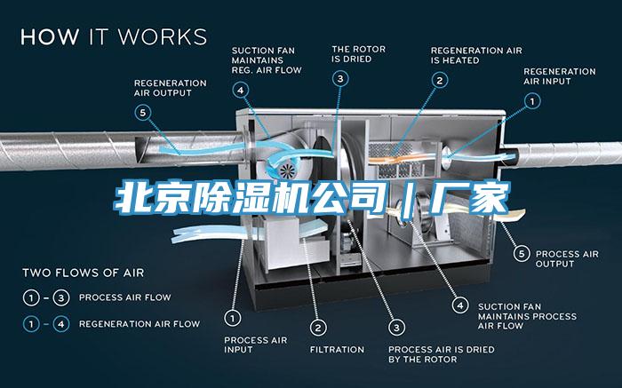 北京MR.好色破解版公司｜厂家