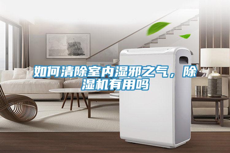 如何清除室内湿邪之气，MR.好色破解版有用吗