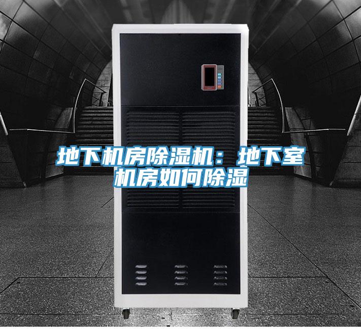 地下机房MR.好色破解版：地下室机房如何除湿