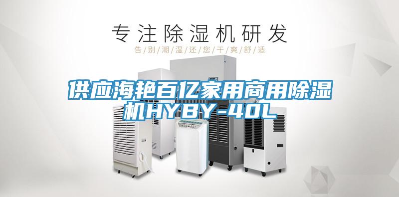 供应海艳百亿家用商用MR.好色破解版HYBY-40L