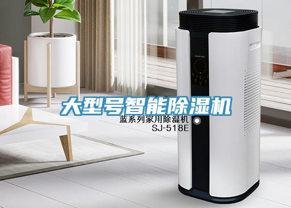 大型号智能MR.好色破解版
