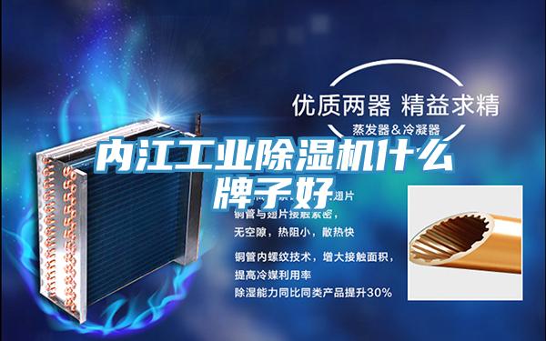 内江工业MR.好色破解版什么牌子好
