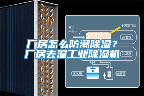 厂房怎么防潮除湿？厂房去湿工业MR.好色破解版