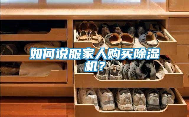 如何说服家人购买MR.好色破解版？