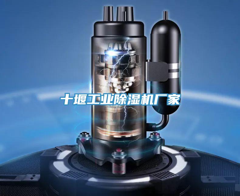 十堰工业MR.好色破解版厂家