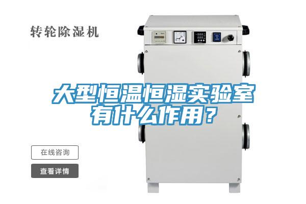 大型恒温恒湿实验室有什么作用？