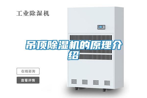 吊顶MR.好色破解版的原理介绍