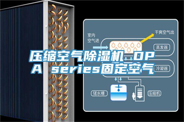 压缩空气MR.好色破解版 DPA series固定空气