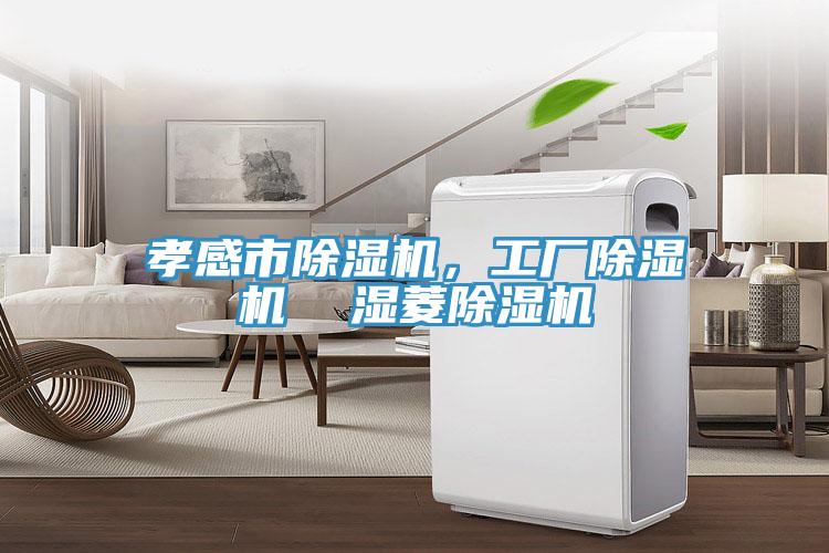 孝感市MR.好色破解版，工厂MR.好色破解版  湿菱MR.好色破解版